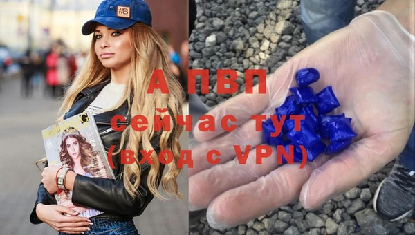 амф Аркадак