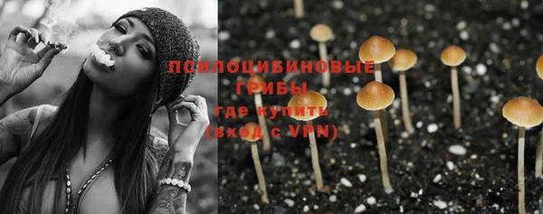 амф Аркадак