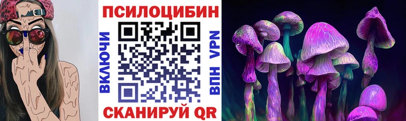 Псилоцибиновые грибы Psilocybine cubensis  Углич 